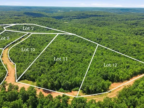 0 Poplar Point Ln Lot 12, Waverly, TN 37185
