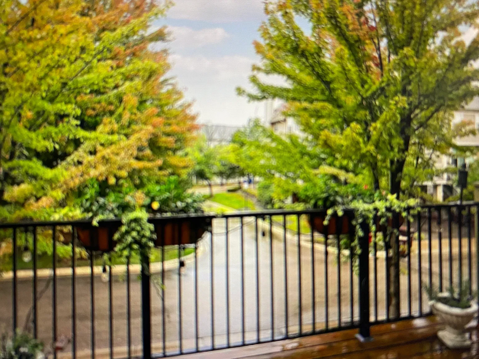 2 bed, 1.5 bath, 1395 sqft, $2,300 — Photo 4