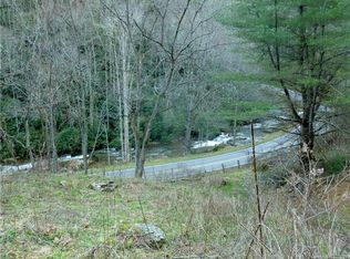 00 Meadow Fork Rd, Hot Springs, NC 28743