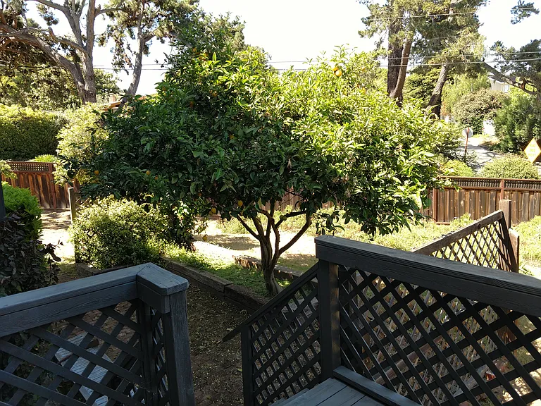 Cliff Dr — Photo 16