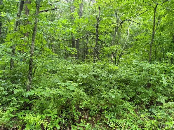 0 County Road 512, Piedmont, MO 63957