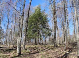 3121 Bradley Lake Rd, Crandon, WI 54520