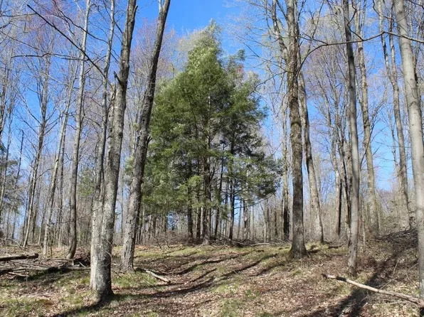 3121 Bradley Lake Rd, Crandon, WI 54520