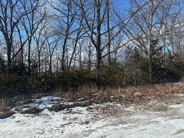 LOT 39 Sterling Ridge Dr, Holts Summit, MO 65043