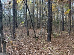 0 Brown Creek Rd, Shiloh, GA 31826