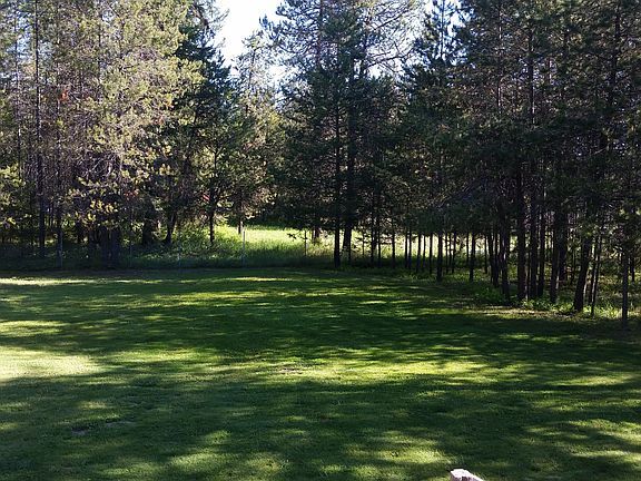 part of back yard