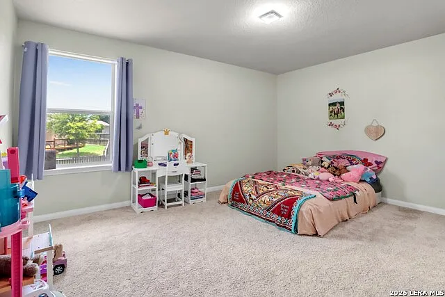 6639 Luckey Pne — Photo 19