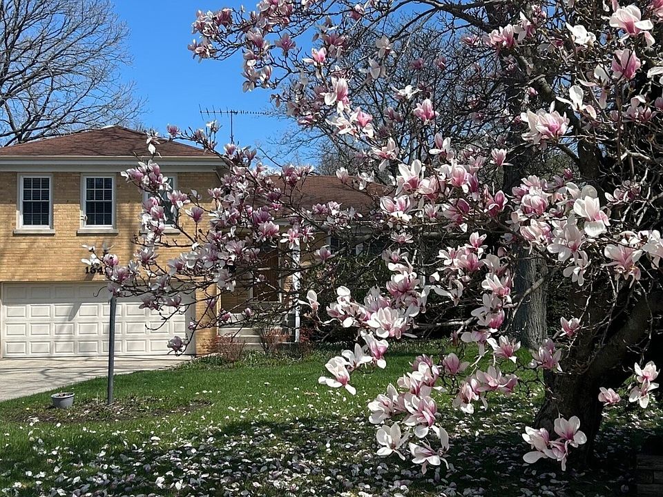 1st image of 1341 Carlisle Pl