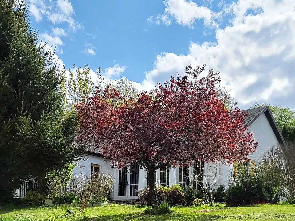 19 McLaughlin Dr