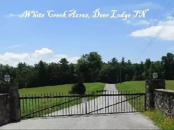 359 White Creek Ct, Deer Lodge, TN 37726