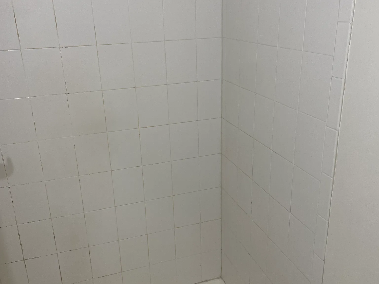 1 bed, 250 sqft, $1,100 — Photo 4