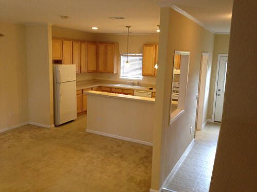 Living-Kitchen Area