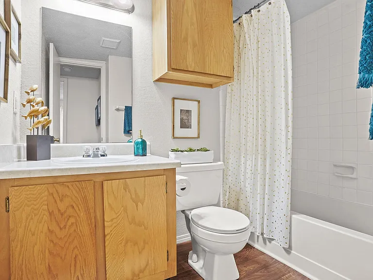 Silver Springs Apts. — Photo 12