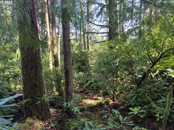 Evergreen Ln, Pt Orford, OR 97465