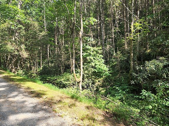 2nd image of 0 Jones Cove Rd #1