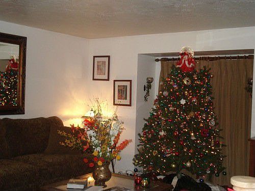 3rd image of 2513 W Marsha Brook Cir