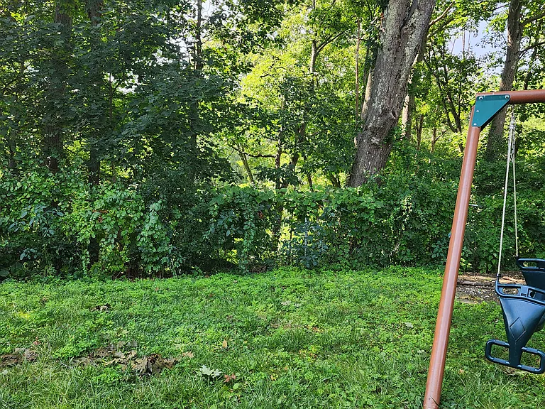 27 Hanover Dr — Photo 11