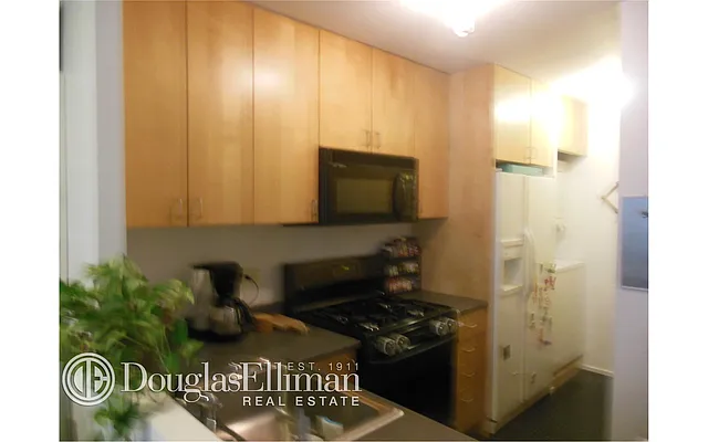 Rented by Douglas Elliman | media 17