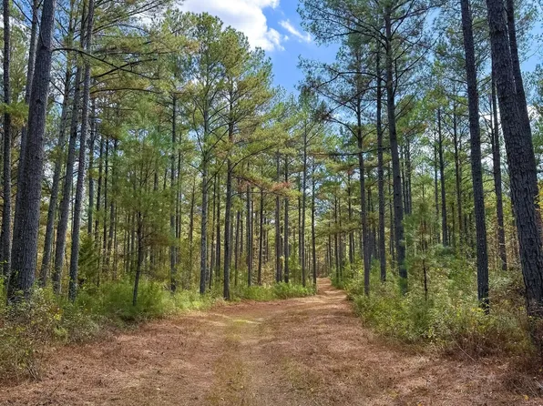County Road 230, Five Points, AL 36855