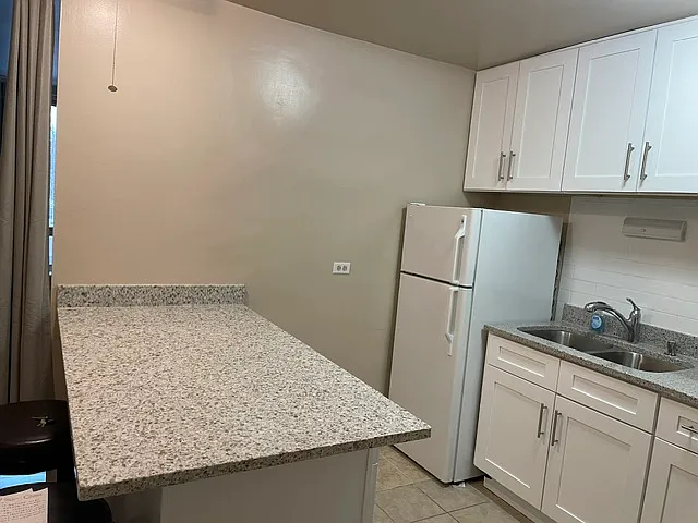 1401 E 55th St #409N — Photo 7