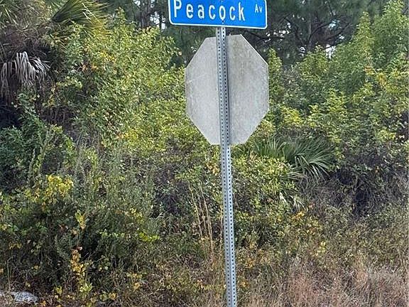 4th image of (Undisclosed Address)