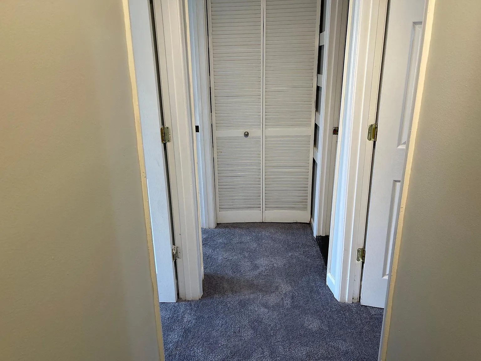 3 bed, 1.5 bath, 1178 sqft, $2,350 — Photo 2
