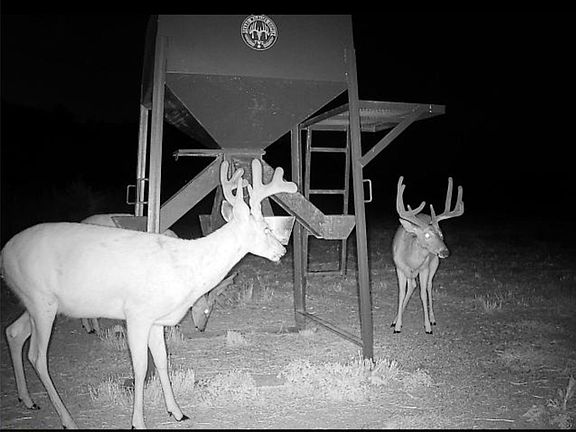 5th image of 183rd St Lot Wp001