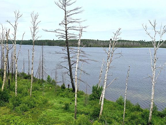 2nd image of 2377 N McDougal Lake Rd