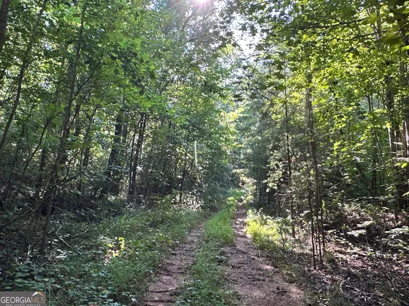 0 Fire Mountain Rd, Cedartown, GA 30125