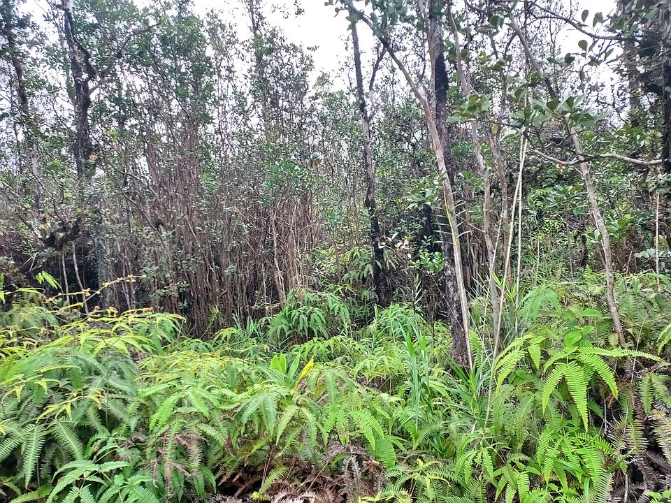 1st image of Plumeria St Lot 6487