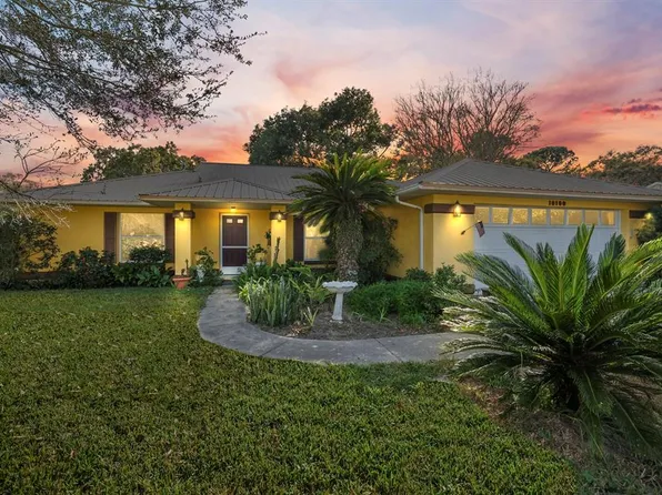 10100 Morningside Dr, Leesburg, FL 34788