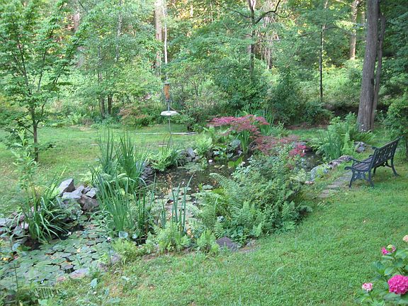 Backyard Pond