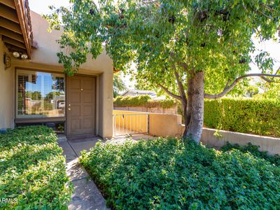 905 E Ocotillo Rd, Phoenix, AZ, 85014