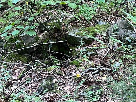 5th image of Map 6, Lot 38 Chadwick Hill Road