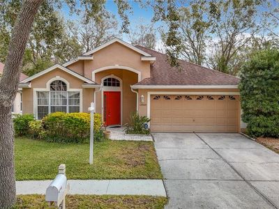 15505 Granby Pl, Tampa, FL, 33624