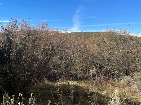 0 Acacia Rd #272, Cedar Glen, CA 92321