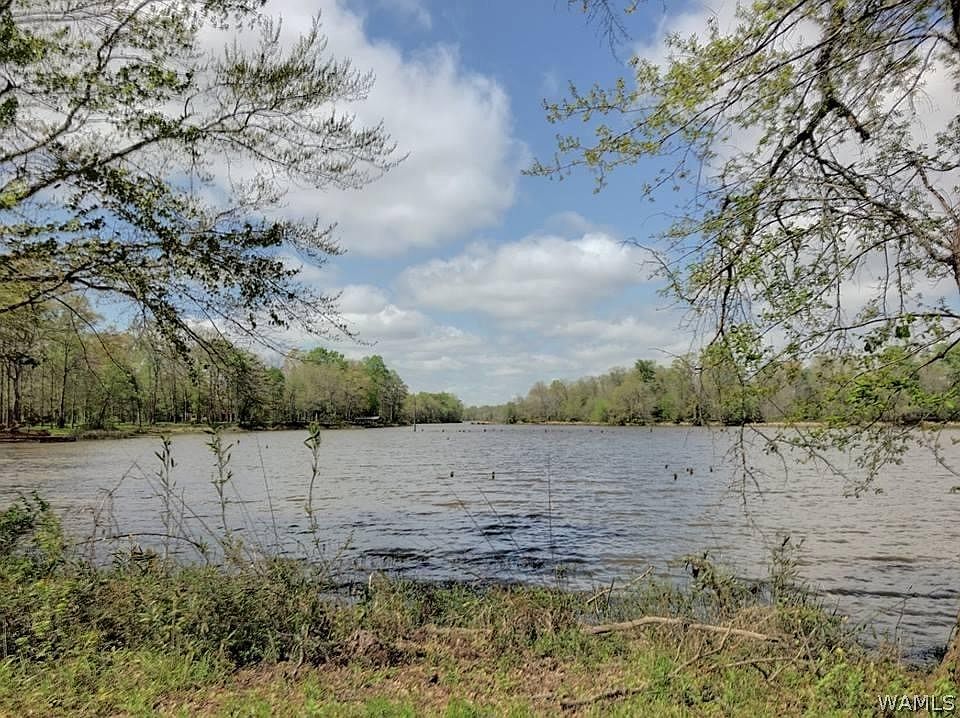 54 Black Warrior Bay, Akron, AL 35441 MLS 149772 Zillow