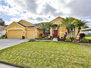 4425 Gentrice Dr, Valrico, FL 33596