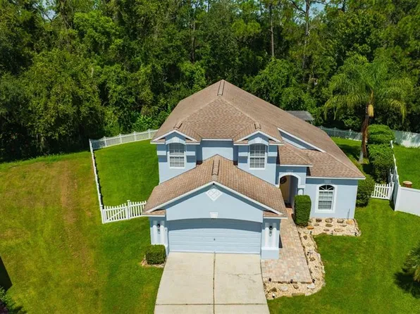 6411 Open Pasture Ct, Wesley Chapel, FL 33545