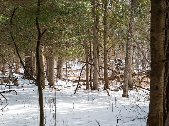 2nd image of 0 Wilds Rd