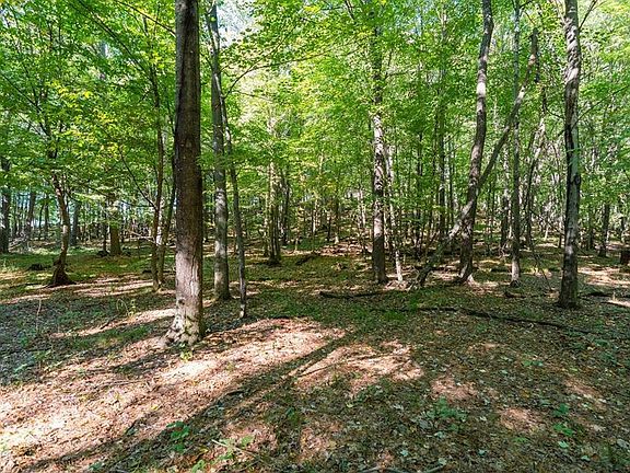 4th image of Lot3 815th Avenue