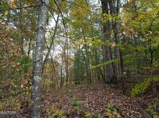 Lake Overlook Dr, Rockwood, TN 37854