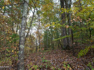 Lake Overlook Dr, Rockwood, TN, 37854