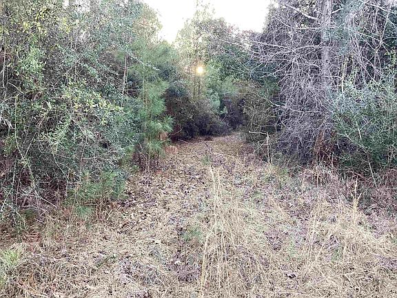 5th image of 20 McIntyre Rd