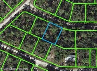 4807 Reed Ave, Sebring, FL 33875