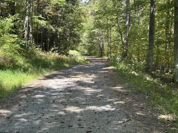LOT 3 Possum Hollow Rd, Terra Alta, WV 26764