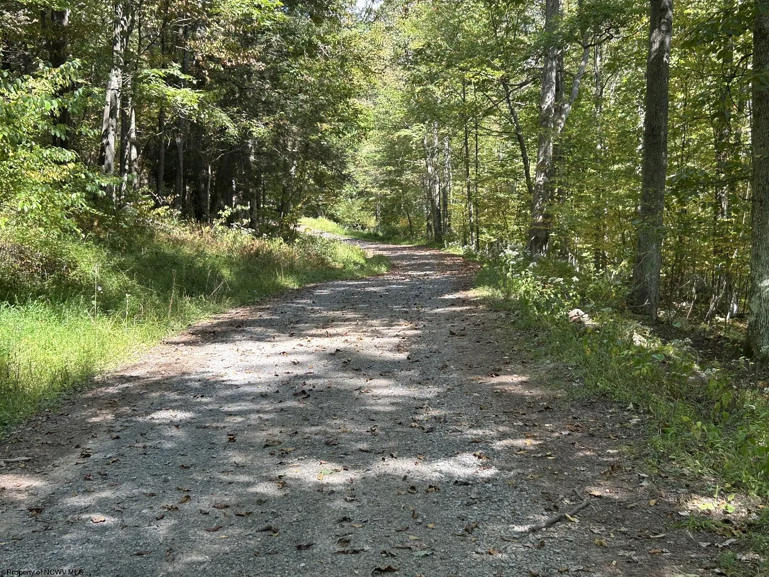 LOT 1 Possum Hollow Rd photo 1