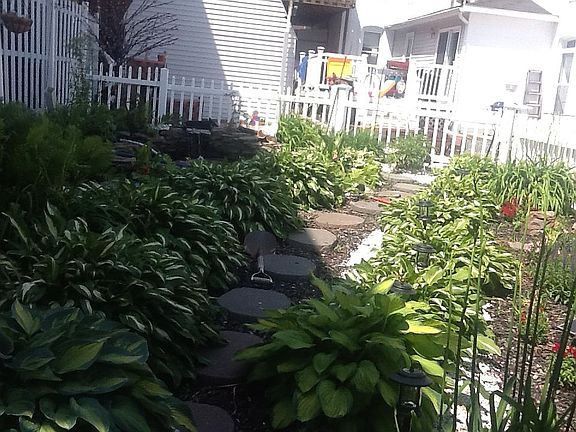 Outdoor garden for main hous