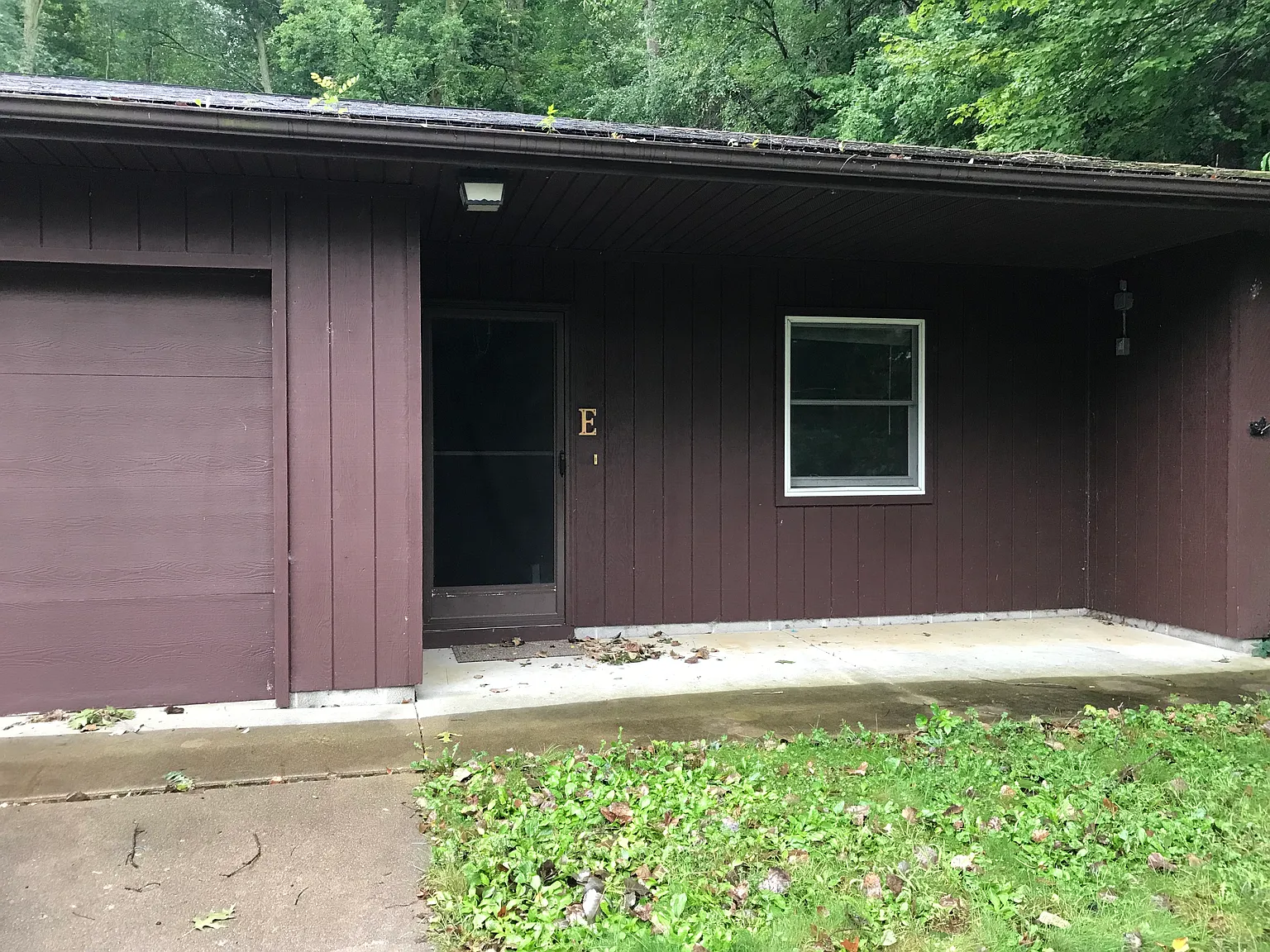 1 bed, 800 sqft, $1,200 — Photo 2