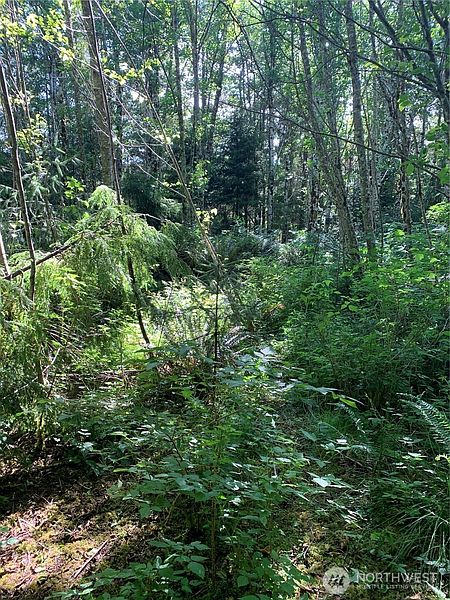 5th image of 1 Tract Parpala Road